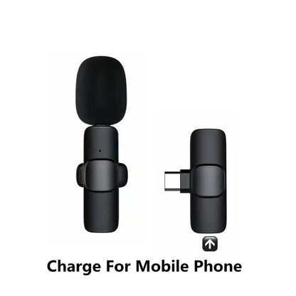 Microphone Portable Audio Video