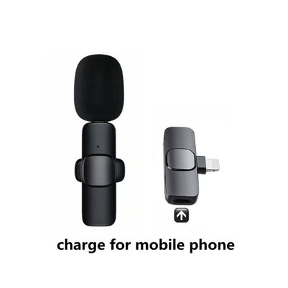 Microphone Portable Audio Video