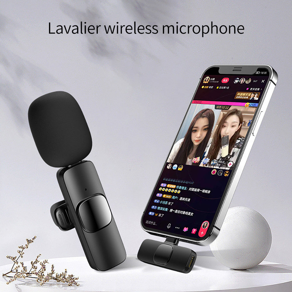 Microphone Portable Audio Video